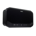 Fusion® Panel-Stereo Indoor - 010-02005-00